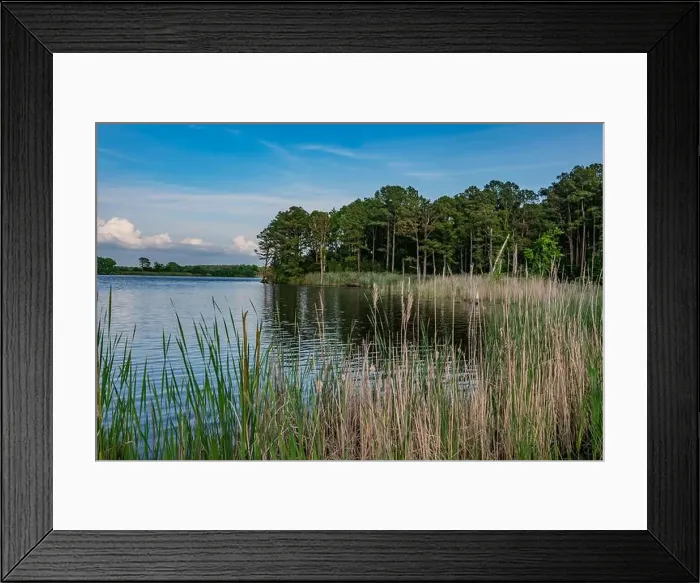 Framed Print : Early Evening at Blackwater National Wildlife Refuge, Maryland USA