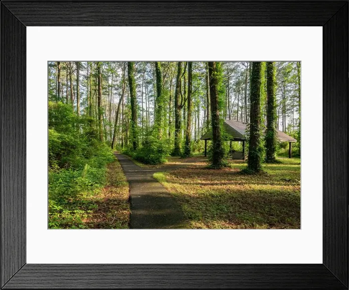 Framed Print : Pavillion along the Marsh Edge Trail, Blackwater NWR MD USA Framed Print : Pavillion along the Marsh Edge Trail, Blackwater NWR MD USA