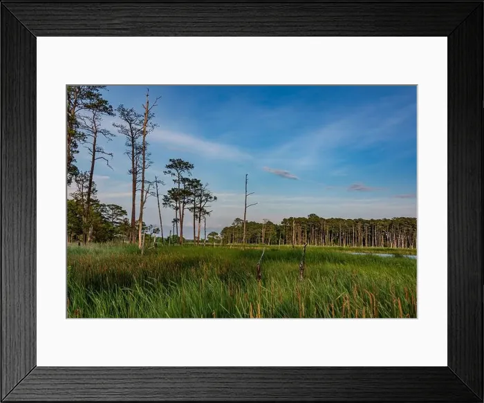 Framed Print : Blackwater NWR under a Beautiful Evening Sky, Maryland USA Framed Print : Blackwater NWR under a Beautiful Evening Sky, Maryland USA
