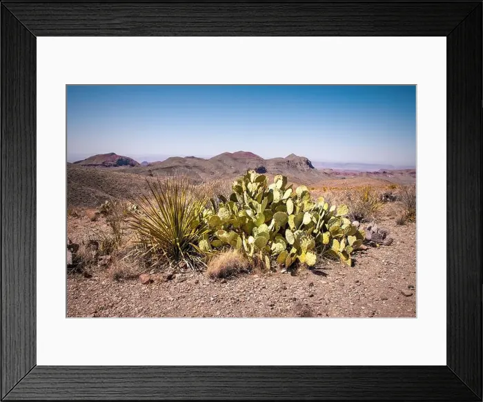 Framed Print : Scenic desert landscape and flora in the Big Bend National Park, Texas Framed Print : Scenic desert landscape and flora in the Big Bend National Park, Texas