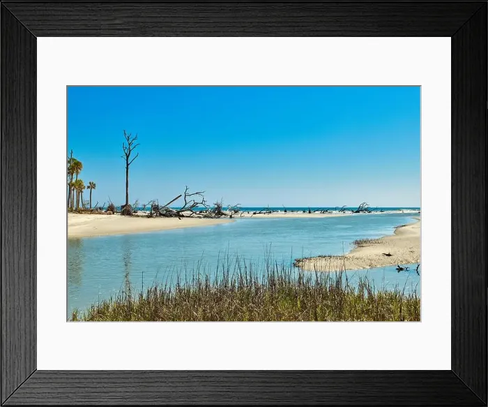 Framed Print : Hunting Island State Park with driftwood along the shore