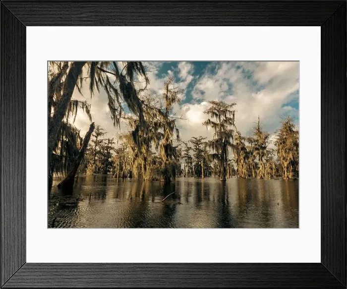 Framed Print : Swamp tour on a boat near Lafayette, Luisiana Framed Print : Swamp tour on a boat near Lafayette, Luisiana