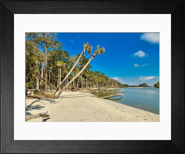 Framed Print : The lagoon area at Hunting Island State Park, SC Framed Print : The lagoon area at Hunting Island State Park, SC