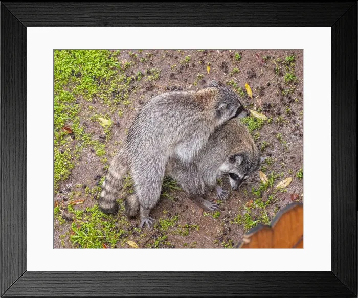 Framed Print : Los Angeles, CA, USA – March 3 Framed Print : Los Angeles, CA, USA – March 3