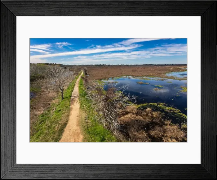 Framed Print : Brazos Bend State Park, Texas, in a beautiful sunny morning Framed Print : Brazos Bend State Park, Texas, in a beautiful sunny morning