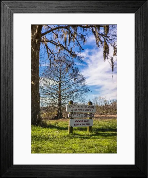 Framed Print : Brazos Bend State Park, Texas, in a beautiful sunny morning Framed Print : Brazos Bend State Park, Texas, in a beautiful sunny morning