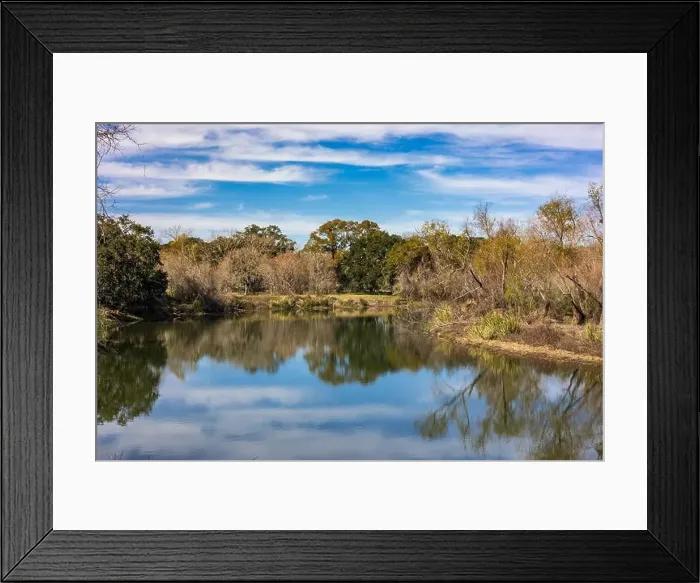 Framed Print : Brazos Bend State Park, Texas, in a beautiful sunny morning Framed Print : Brazos Bend State Park, Texas, in a beautiful sunny morning