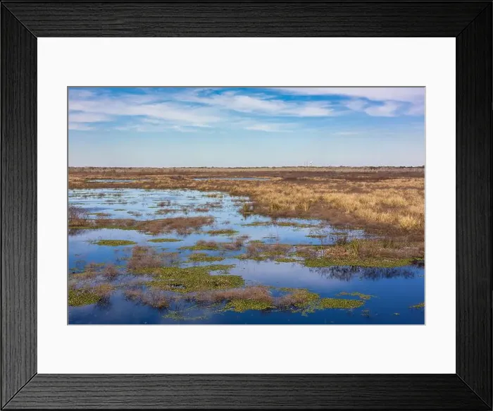 Framed Print : Brazos Bend State Park, Texas, in a beautiful sunny morning Framed Print : Brazos Bend State Park, Texas, in a beautiful sunny morning