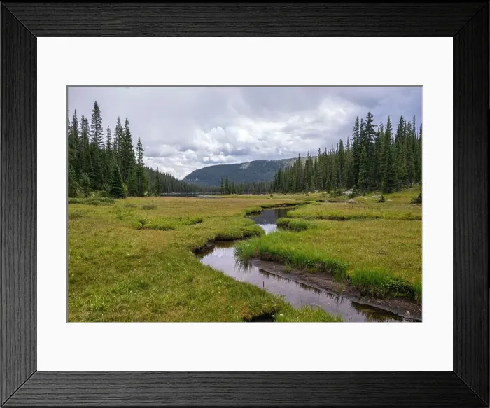Framed Print : Peaceful wild scenery with stream and lush meadow Framed Print : Peaceful wild scenery with stream and lush meadow
