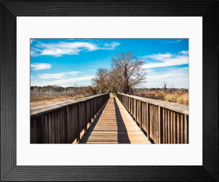 Framed Print : Brazos Bend State Park, Texas, in a beautiful sunny morning Framed Print : Brazos Bend State Park, Texas, in a beautiful sunny morning