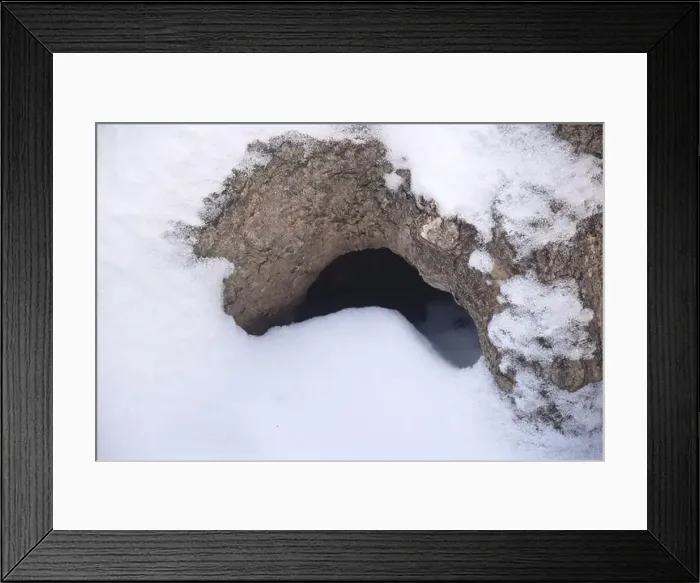 Framed Print : The hollow in the old tree, winter forest Framed Print : The hollow in the old tree, winter forest