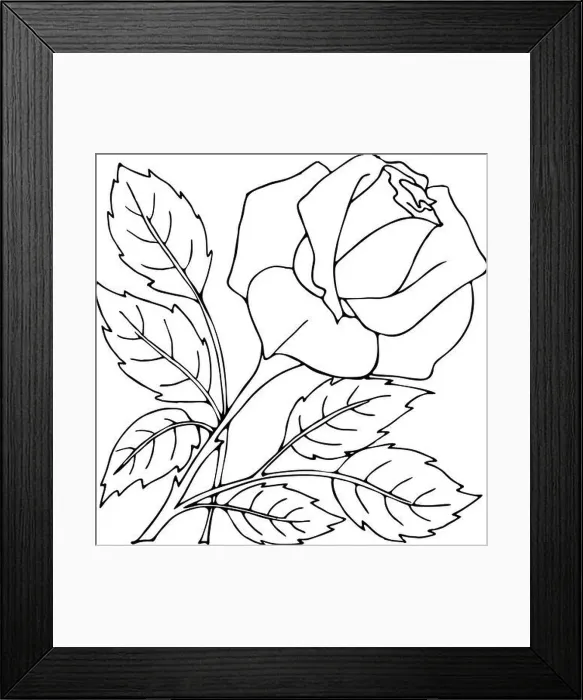 Framed Print : isolated outline drawing of rose flower, graphic, graphic art, clothing design Framed Print : isolated outline drawing of rose flower, graphic, graphic art, clothing design