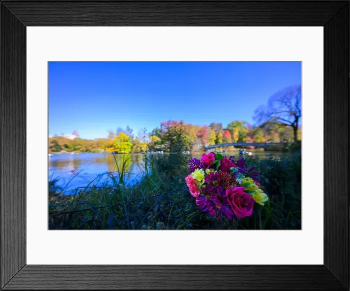 Framed Print : a colorful bouquet by Bow bridge Framed Print : a colorful bouquet by Bow bridge