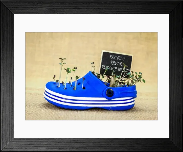 Framed Print : plastic shoe reused to grow seedling, recycle, reused reduce waste chalkboard sign, sustainable living Framed Print : plastic shoe reused to grow seedling, recycle, reused reduce waste chalkboard sign, sustainable living