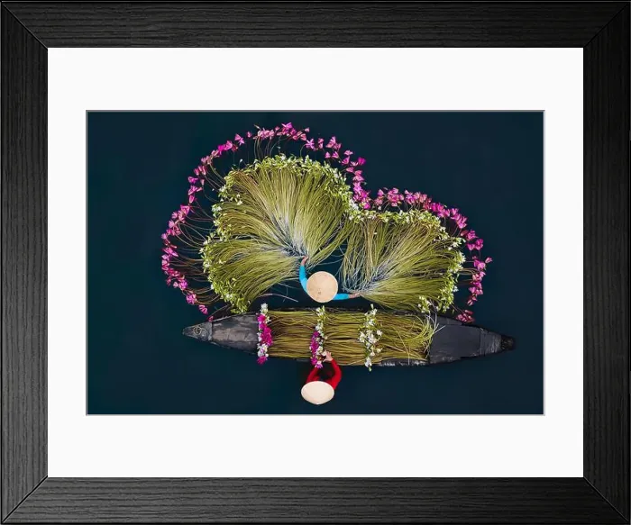 Framed Print : September 27, 2023: women in Long An province, Vietnam are harvesting water lilies in the fields Framed Print : September 27, 2023: women in Long An province, Vietnam are harvesting water lilies in the fields