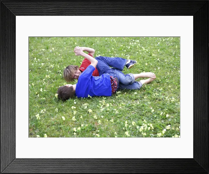 Framed Print : 11-13 years fight meadow boys people children two childhood friends enemies dispute wrangling fight rolls full-length Framed Print : 11-13 years fight meadow boys people children two childhood friends enemies dispute wrangling fight rolls full-length