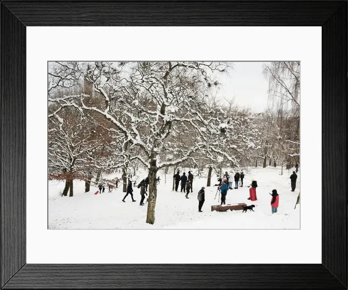 Framed Print : Crowds in Kelvingrove Park in the snow. February 9th 2021. (Glasgow, west-end) Framed Print : Crowds in Kelvingrove Park in the snow. February 9th 2021. (Glasgow, west-end)