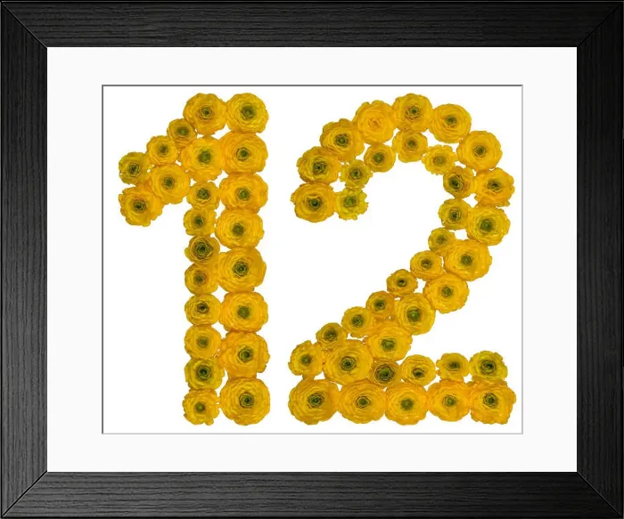 Framed Print : Arabic numeral 12, twelve, from yellow flowers of buttercup, isolated on white background Framed Print : Arabic numeral 12, twelve, from yellow flowers of buttercup, isolated on white background