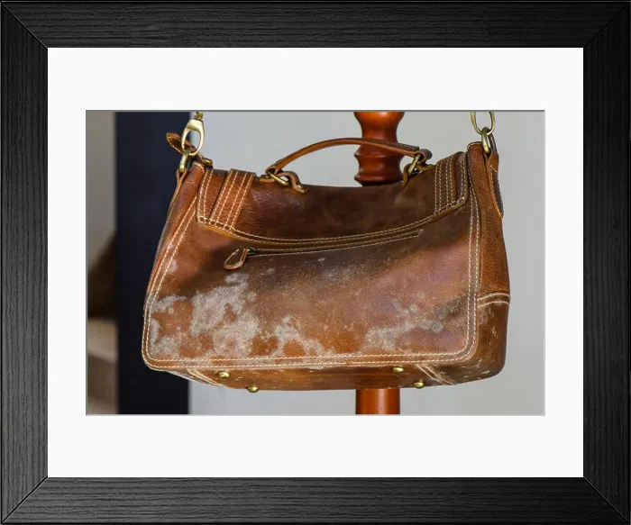 Framed Print : mold on old brown leather bag, fungus on leather bag Framed Print : mold on old brown leather bag, fungus on leather bag