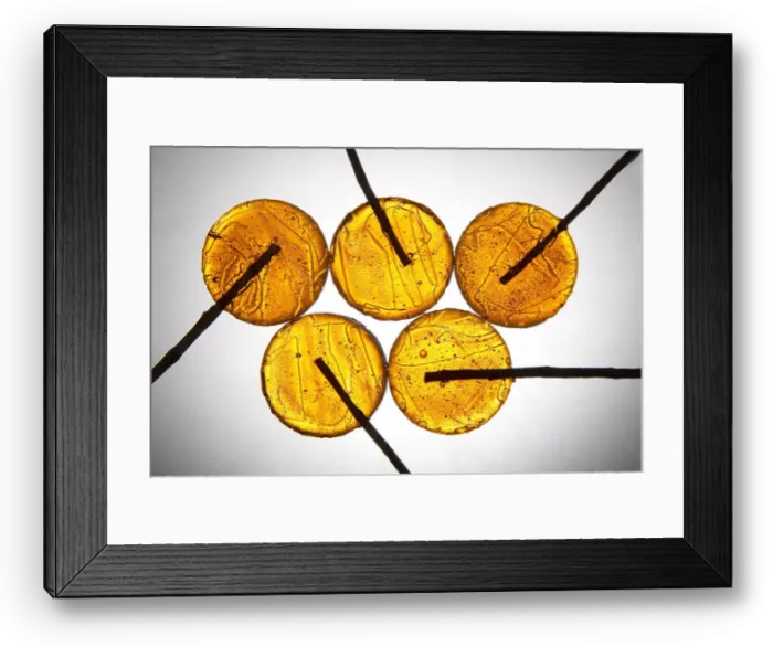 Framed Print : yellow lollipops on light grey background