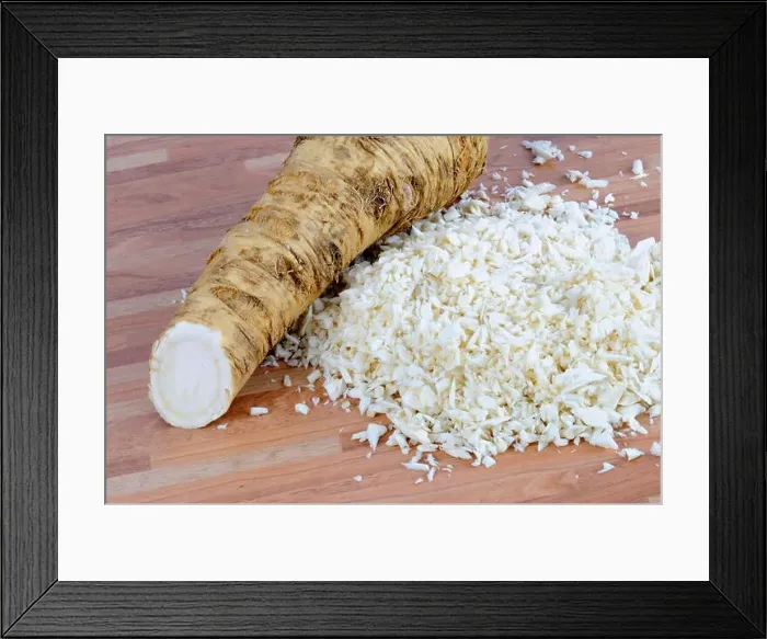 Framed Print : Grated horseradish root (Armoracia rusticana), horseradish, grated Framed Print : Grated horseradish root (Armoracia rusticana), horseradish, grated