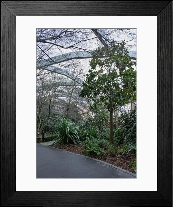 Framed Print : Lush greenery at Crossrail Place Roof Garden in Canary Wharf, London