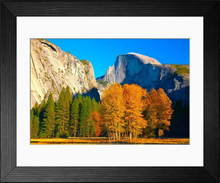 Framed Print : USA, California, Yosemite National Park, Half Dome above fall foliage in Ahwahnee meadow Framed Print : USA, California, Yosemite National Park, Half Dome above fall foliage in Ahwahnee meadow