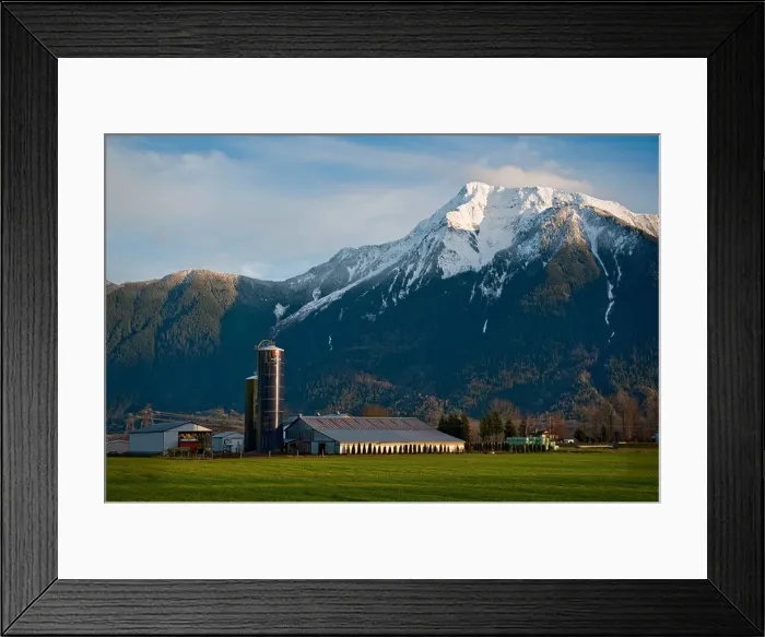 Framed Print : Farmland dominates the landscape of the Fraser Valley Framed Print : Farmland dominates the landscape of the Fraser Valley