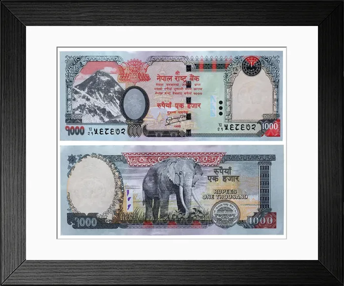 Framed Print : 1000 rupees banknote, Mount Everest and elephant, Nepal, 2008 Framed Print : 1000 rupees banknote, Mount Everest and elephant, Nepal, 2008