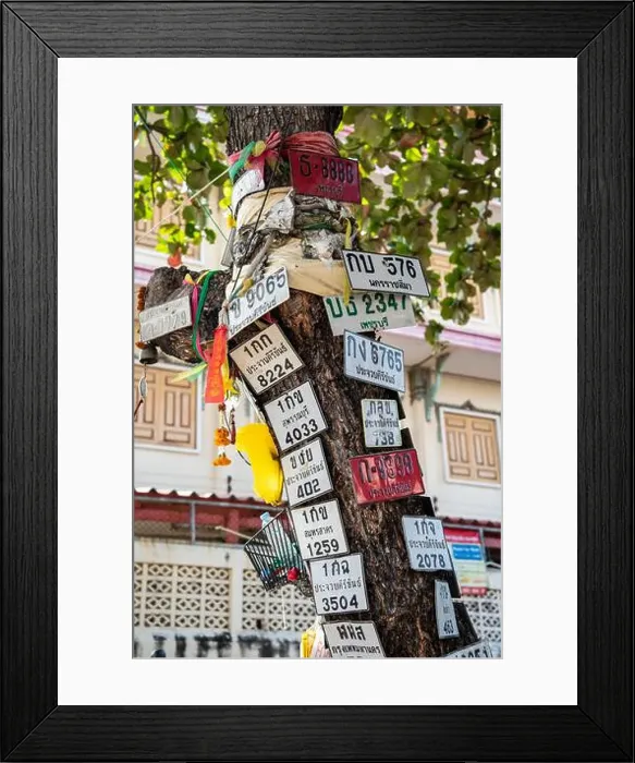 Framed Print : Motorbike number plate on a tree in the City of Hua Hin in the Province of Prachuap Khiri Khan in Thailand Framed Print : Motorbike number plate on a tree in the City of Hua Hin in the Province of Prachuap Khiri Khan in Thailand