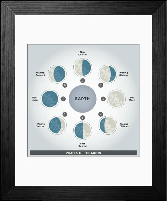 Framed Print : Illustration of the Phases of the Moon Text in English - Vector, Education Science, Lunar cycle Framed Print : Illustration of the Phases of the Moon Text in English - Vector, Education Science, Lunar cycle