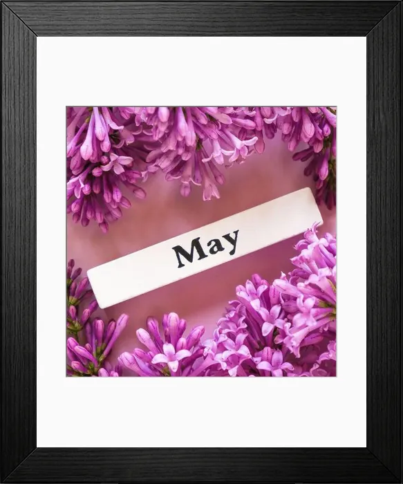 Framed Print : Wooden calendar spring month of May and flowers of lilac on pink background Framed Print : Wooden calendar spring month of May and flowers of lilac on pink background