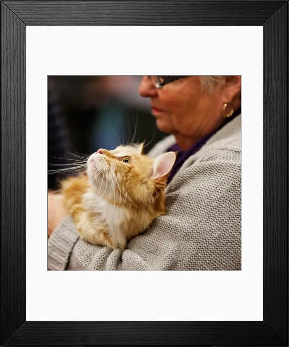 Framed Print : Une femme âgée avec un chat dans la main Framed Print : Une femme âgée avec un chat dans la main