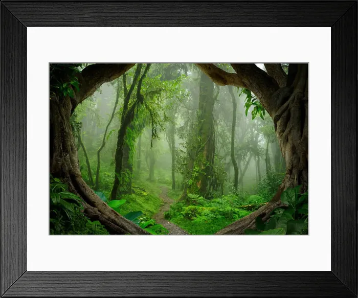 Framed Print : Subtropical jungle of Nepal at the base of the Annapurna Framed Print : Subtropical jungle of Nepal at the base of the Annapurna