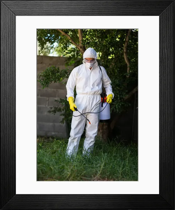 Framed Print : Man spraying pesticide on grass Framed Print : Man spraying pesticide on grass