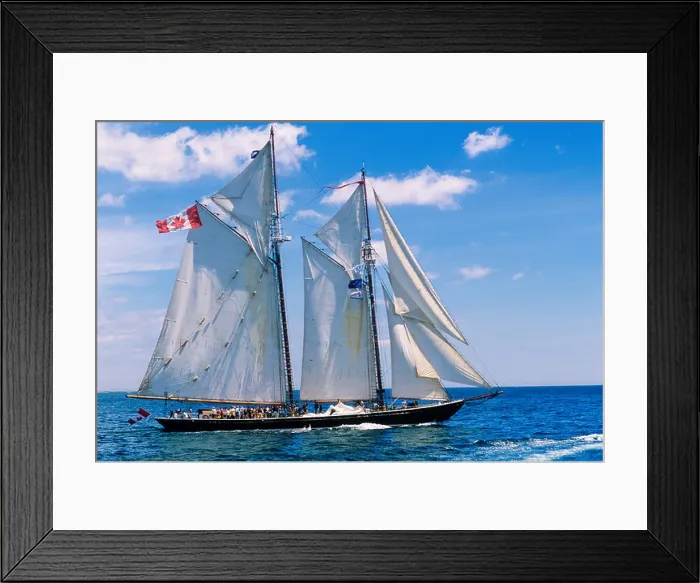 Framed Print : The Bluenose sailing in Halifax Harbour, Nova Scotia, Canada Framed Print : The Bluenose sailing in Halifax Harbour, Nova Scotia, Canada
