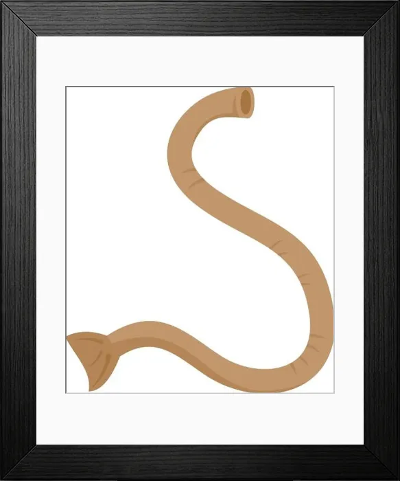 Framed Print : Parasite worm icon. Flat illustration of parasite worm vector icon isolated on white background