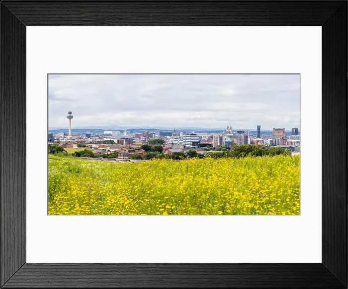 Framed Print : Panorama of the Liverpool skyline seen over a pretty flower meadow on Everton Park Framed Print : Panorama of the Liverpool skyline seen over a pretty flower meadow on Everton Park