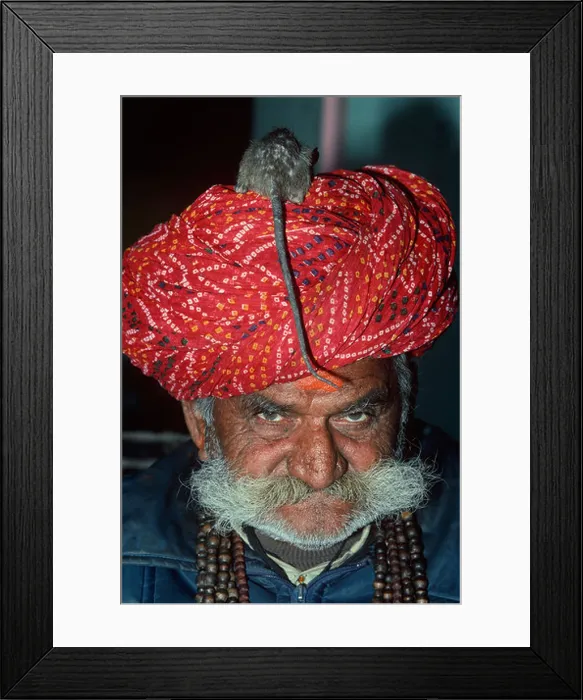 Framed Print : Indian Priest with a rat on his head at the Deshnoke Temple. Rajasthan, India Framed Print : Indian Priest with a rat on his head at the Deshnoke Temple. Rajasthan, India