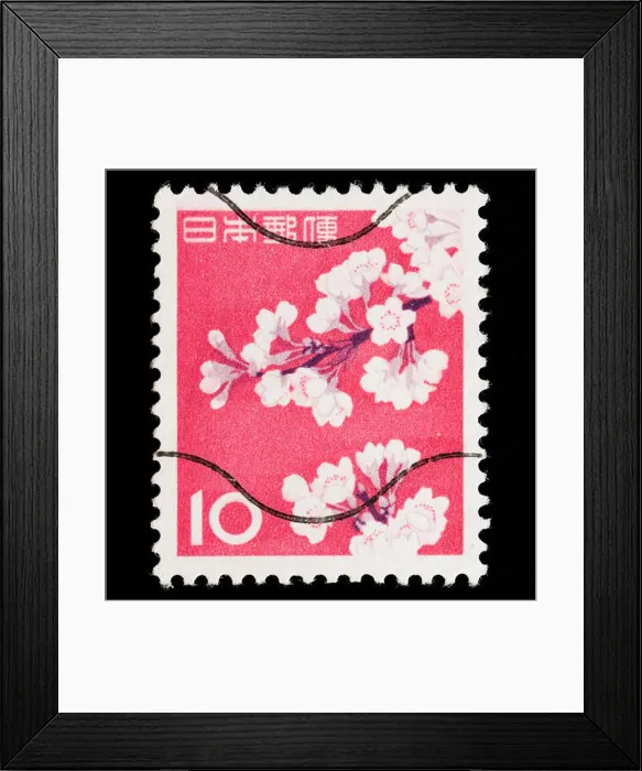 Framed Print : Japan Postage Stamp - Cherry Blossoms Framed Print : Japan Postage Stamp - Cherry Blossoms