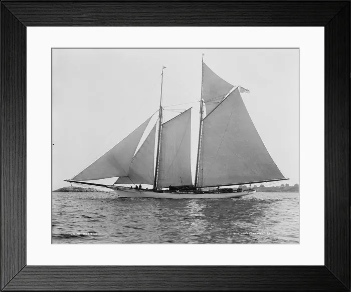 Framed Print : Schooner America refers to the historic sailing ship Framed Print : Schooner America refers to the historic sailing ship