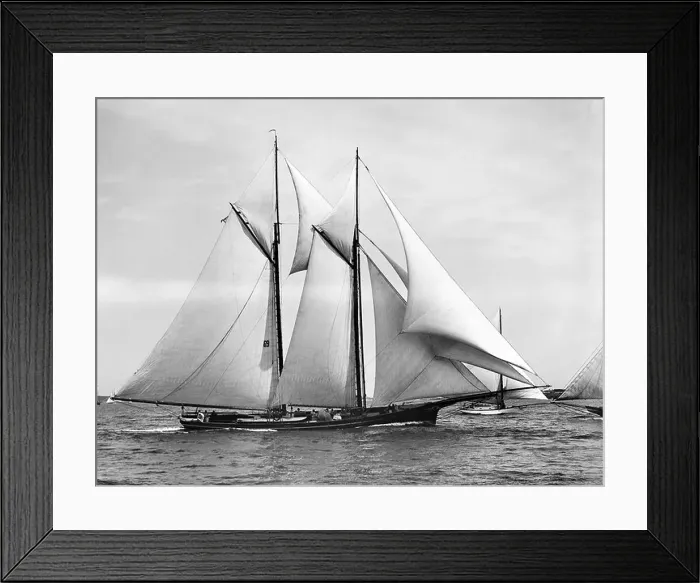 Framed Print : 1870 America's Cup defender Magic (pictured in 1888) which defeated the English Challenger Cambria Framed Print : 1870 America's Cup defender Magic (pictured in 1888) which defeated the English Challenger Cambria