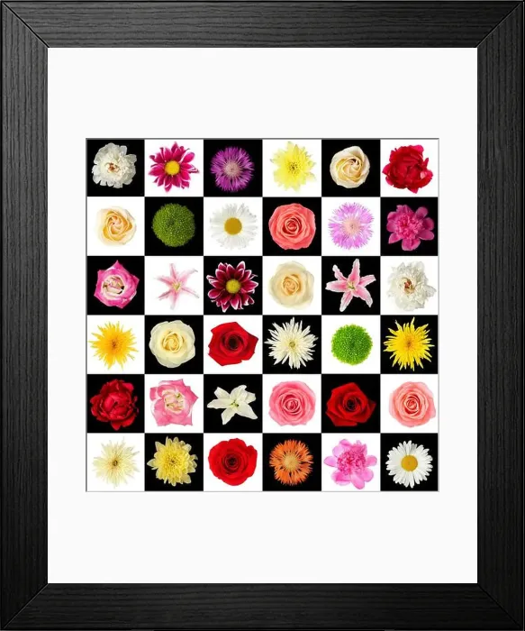 Framed Print : Beautiful flowers. Different flowers collage
