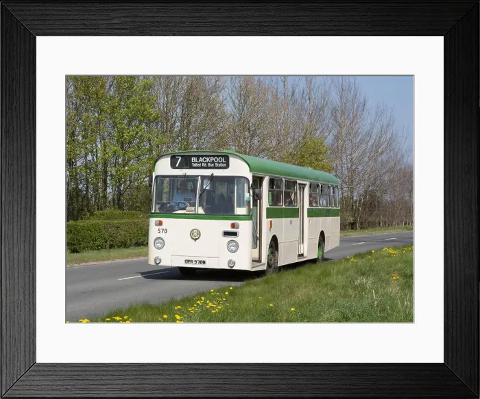 Framed Print : Ex Blackpool Corporation 1974 AEC Swift single decker on a preserved passenger bus service between Brough