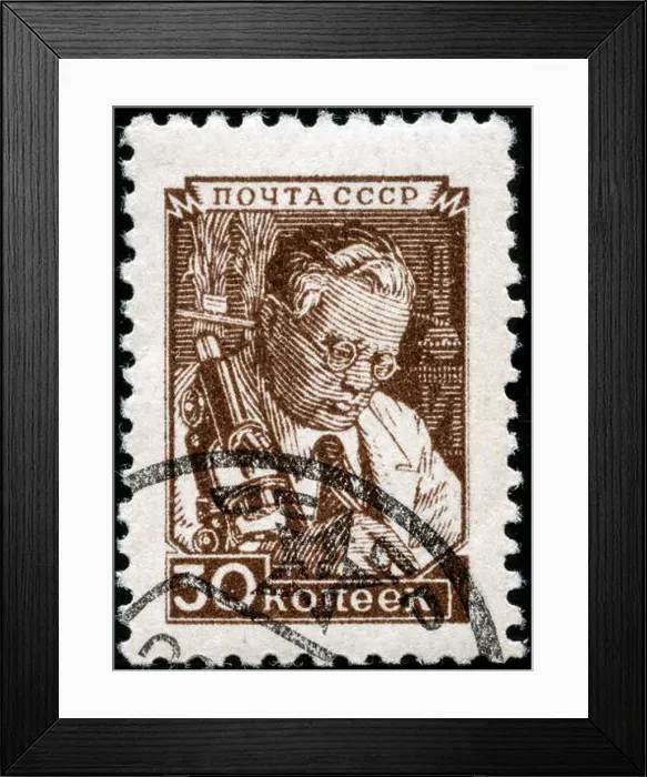 Framed Print : Postage stamp from the Soviet Union in the Definitive Issue No.8 series issued in 1949 Framed Print : Postage stamp from the Soviet Union in the Definitive Issue No.8 series issued in 1949