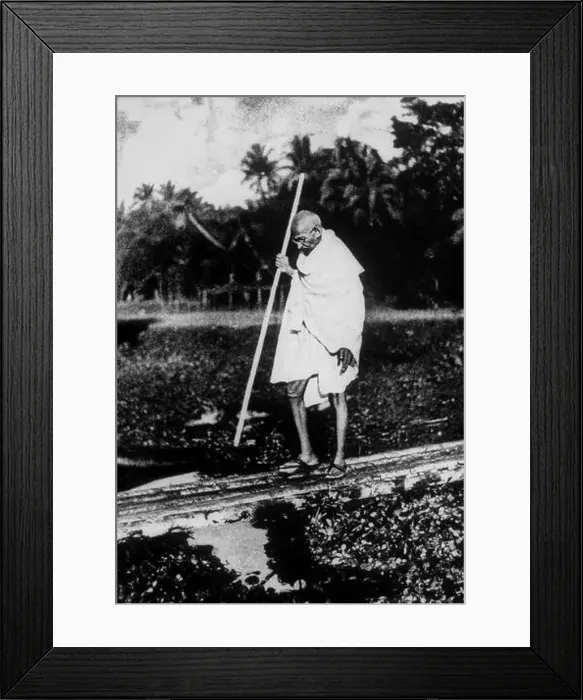 Framed Print : Mahatma Gandhi walking in noakhali, west bengal, India, Asia, NO MR, 1946, Asia Framed Print : Mahatma Gandhi walking in noakhali, west bengal, India, Asia, NO MR, 1946, Asia