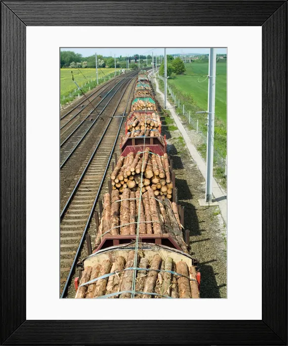 Framed Print : Freight train carrying a cargo of logs on the West Coast line near Warrington in Cheshire Framed Print : Freight train carrying a cargo of logs on the West Coast line near Warrington in Cheshire