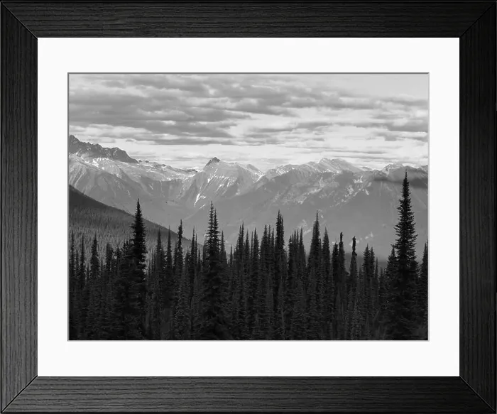 Framed Print : Landscape with forest in British Columbia. Mount Revelstoke. Canada. Horizontal Framed Print : Landscape with forest in British Columbia. Mount Revelstoke. Canada. Horizontal