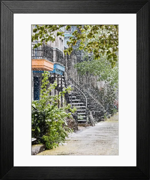 Framed Print : Snowstorm, Avenue Laval, Montreal, Quebec Framed Print : Snowstorm, Avenue Laval, Montreal, Quebec