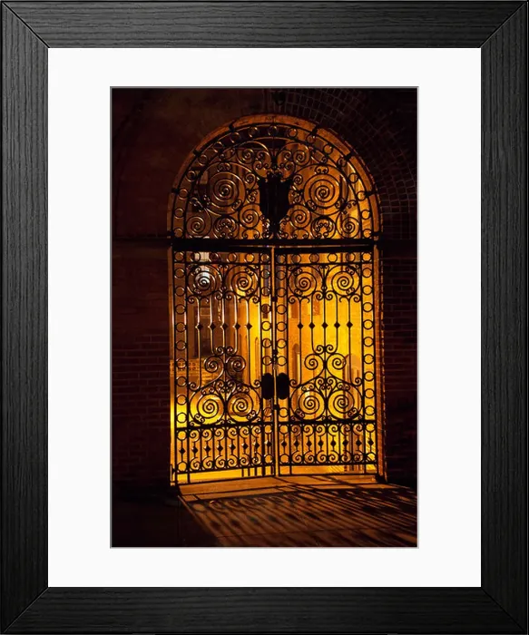 Framed Print : Pratt wrought iron gate in Brooklyn Framed Print : Pratt wrought iron gate in Brooklyn
